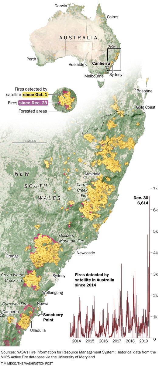 PostGraphics's tweet photo. Fires are raging across Australia, forcing thousands to flee. https://t.co/D4LmdcFrm5 https://t.co/kyuhqXWOmL