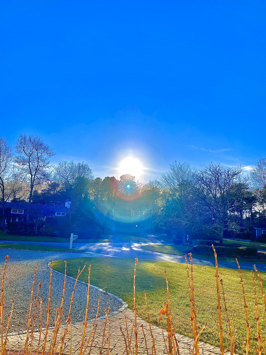 GDodesDC's tweet image. A little piece of Heaven!