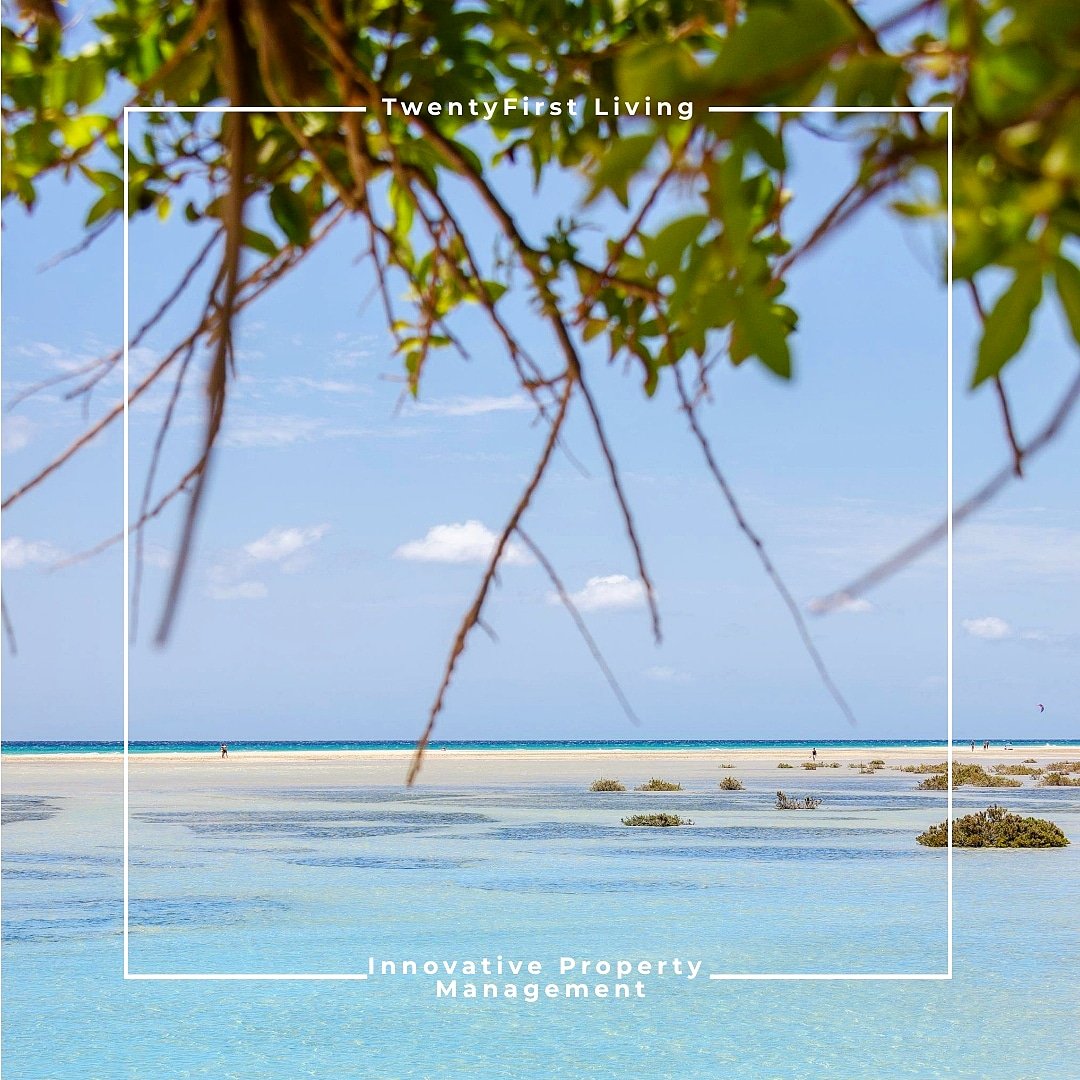 21stLiving's tweet photo. Let's start you year with right way! Fuerteventura is your place of calm and beauty!
¡Comencemos su año de la manera correcta!  ¡Fuerteventura es tu lugar de calma y belleza!
Get in Touch now 📩 info@twentyfirstliving.com
#propertymanagementfuerteventura  #fuerteventuraproperty https://t.co/JCcv9YqQVE