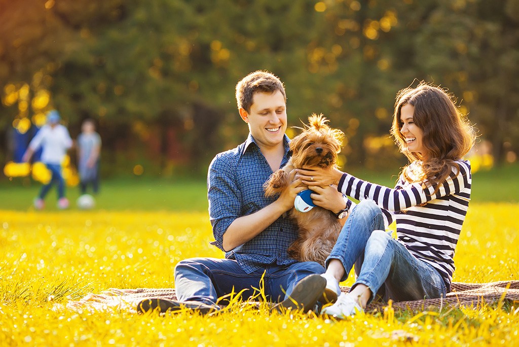 VABeachRETeam's tweet image. Get acquainted with your new city by finding free things to do. #movingadvice #relocatingtips  cpix.me/a/89029683