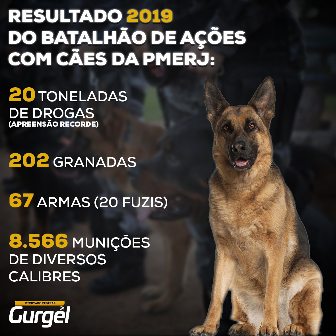 depgurgel's tweet photo. Parabéns ao Batalhão de Ações com Cães - BAC pelo excelente 2019!
Que em 2020, os números continuem subindo. Deixamos aqui nosso OBRIGADO!
#bac #pmerj #caodeguarda #caopolicial https://t.co/4c66G4DMVy