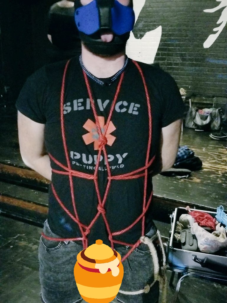 Pup_Ducky's tweet photo. Rope fun with @StyxSir about a month back. Just now getting to posting and sharing. Thank you Sir for roping me into a great time. #gaypup #ropekink #knottyfun https://t.co/cVXbXiOwZW