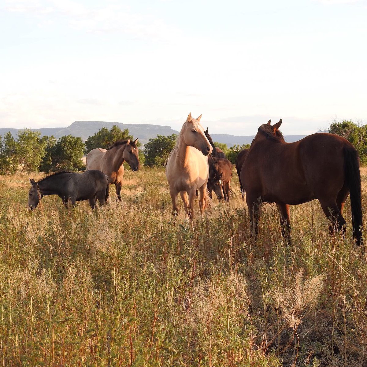 Coker Feed Mill (@CokerFeedMill) | Twitter