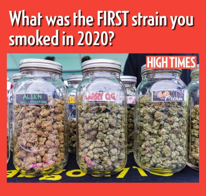 HIGH_TIMES_Mag's tweet photo. Let's hear it. 👇👇👇 https://t.co/dXms0EnOK7