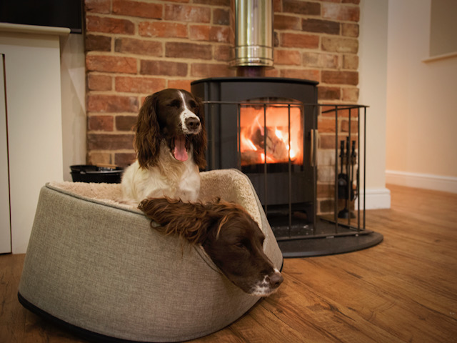 RigsbyWoldCotta's tweet image. "Yawn! Yep time to snuggle down in front of the log burner I think"  
Our last holiday 4 legged guests found The Stables barn conversion on our farm in Lincolnshire just right :-)

#holidaycottage
#Lincolnshire 
#petfriendly
#travel
#dogsoftwitter