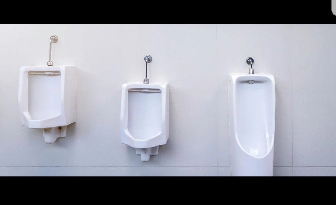 UrinalPics's tweet photo. Diversity in the men's room. https://t.co/kjgyuzOJdi