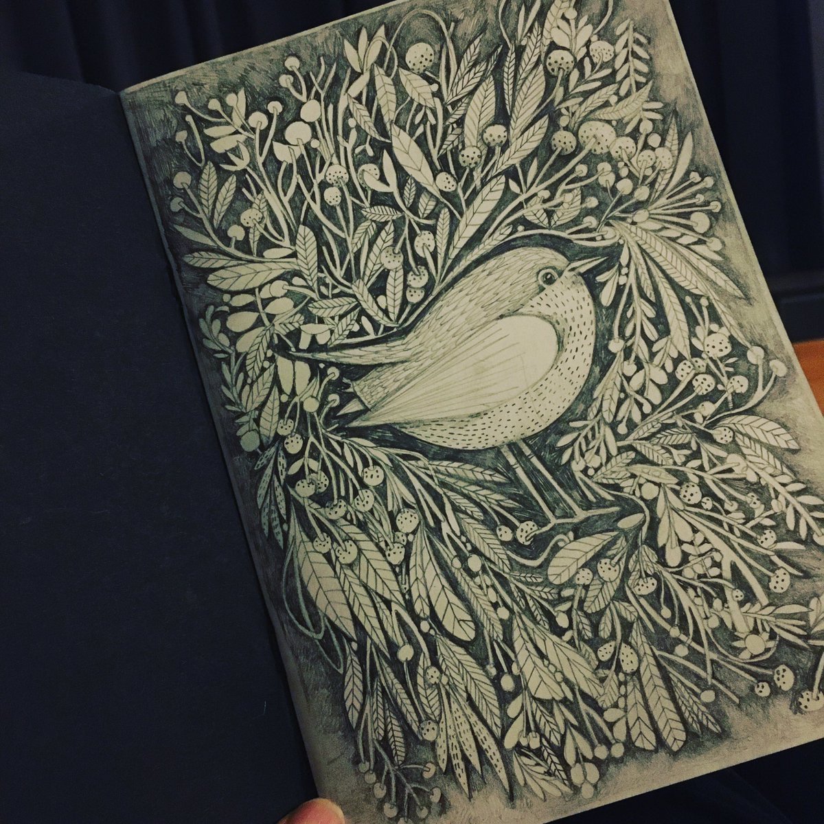 First page of my 2020 sketchbook finished! This piece was inspired by the maze at @burtonagneshall which is home to the most gorgeous little birds!! #thevisitingbook #illustration #pencildrawing #sketchbook #sketchbookdrawing #art #2020 #resolution2020 #published @chrisriddell50