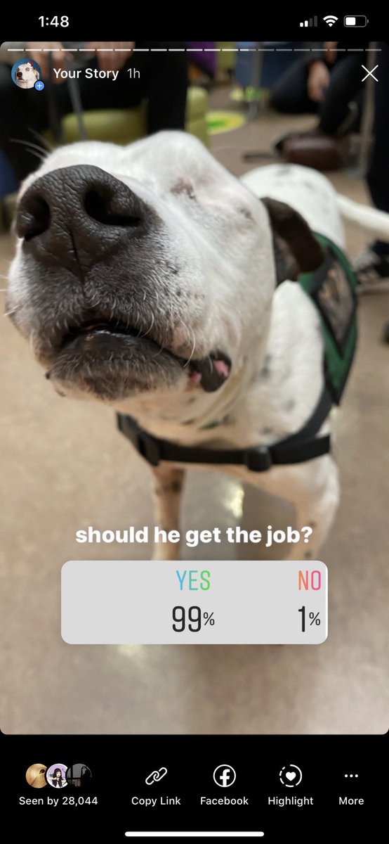 dogfather's tweet photo. i can’t get over this https://t.co/5Dnr3OgRWl