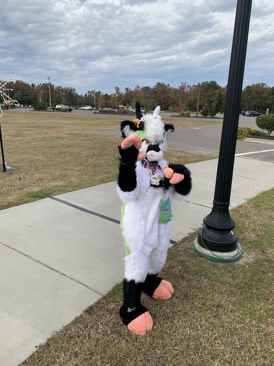 CastleCline's tweet photo. Now $1,500 or $1,400!!  
-
-
-
-  #fursuitforsale #fursona https://t.co/9yaSWNwITq