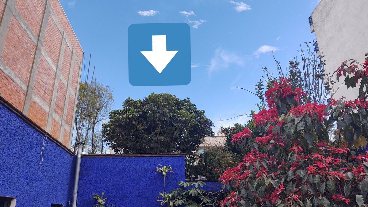 kike412's tweet photo. @SGIRPC_CDMX entre esos dos edificios se generan fuertes ráfagas de aire, el árbol en la calle es muy grande y frondoso, (sobrepasa el tercer nivel de los edificios) con estos vientos se mueve de forma alarmante, hay cables de luz y otros servicios que pasan cerca de este árbol https://t.co/gchtQG5nmH
