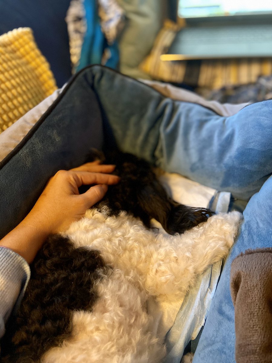 Patti Mulligan🌻 tweet media