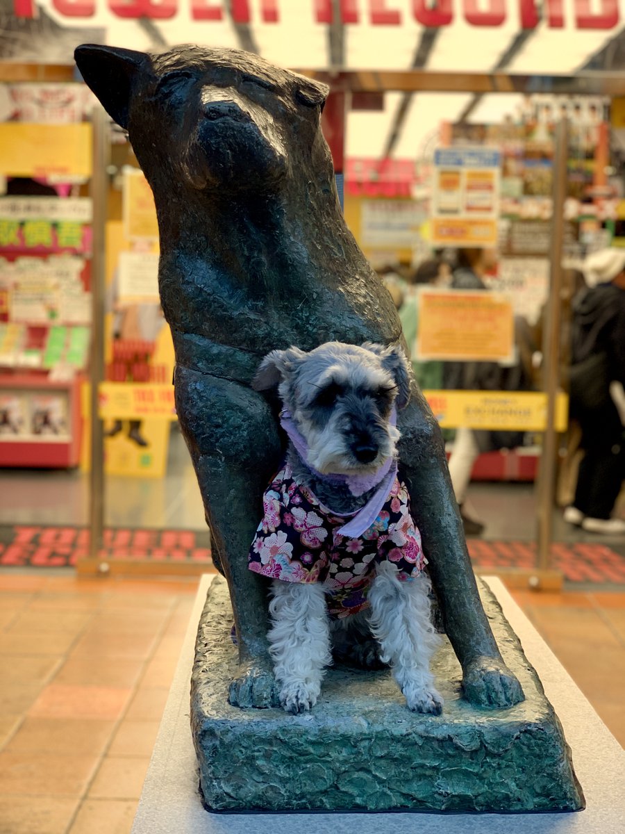 ディズニーストア渋谷公園通り店