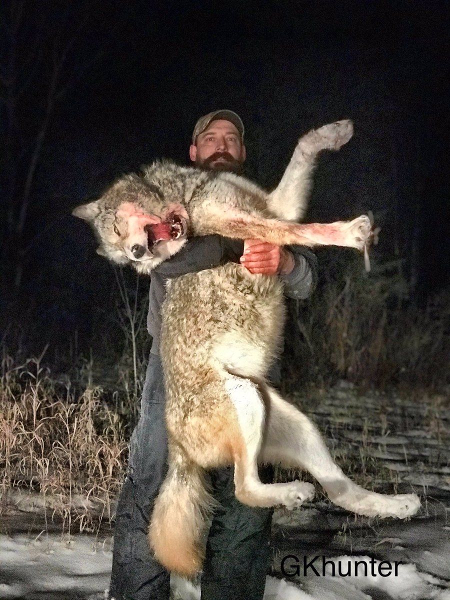 GKtheHunter's tweet photo. Iโm off to good start in 2020โ
๐ #timberdog https://t.co/IrbRR8yxeX