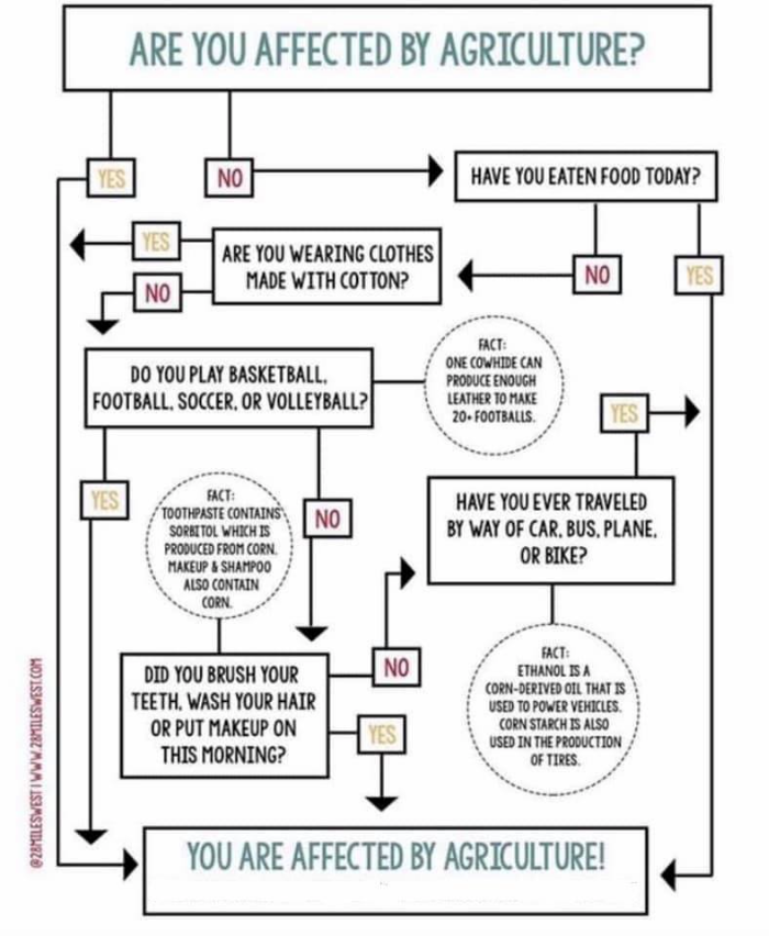Why you need Agriculture 💯
