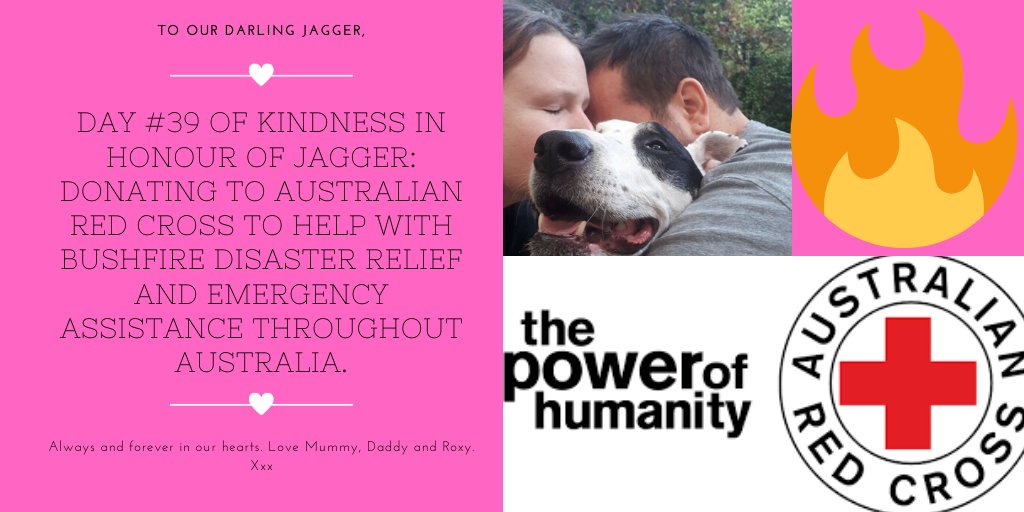 pranksnpups's tweet photo. Day #39 of 365 Kindness for Jagger Pledge: Donating to the Australian Red Cross Bushfire Appeal. #ForJagger #inmemoryofjagger @RedCrossAU #AustraliaBurning #australiaisburning #australiaisburning https://t.co/AZyFka1Iq0