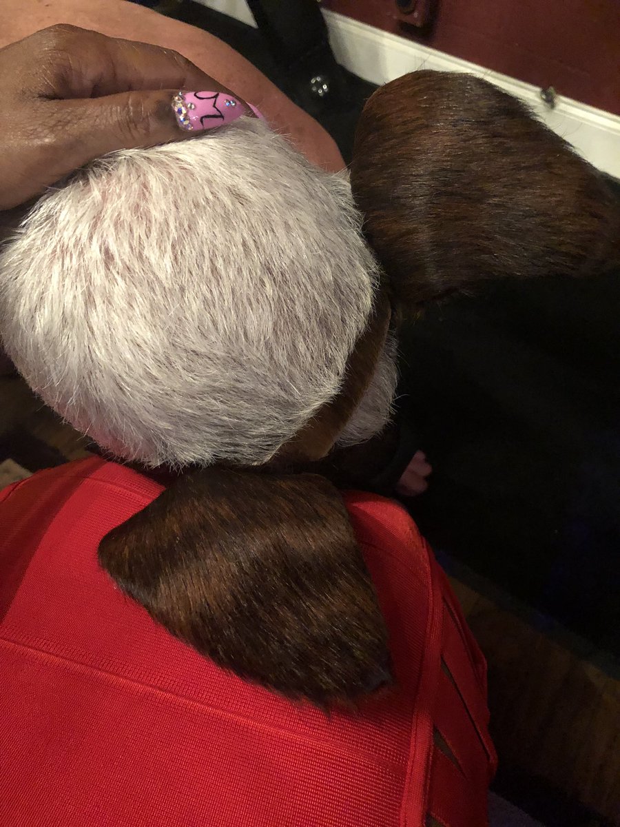 collective_dom's tweet photo. Good night!🌙  @misskimrub @LadyPDelux @collective_dom @mona_mistress @subdutches @slaverobby @Ryanair314 https://t.co/4ujb6yK9ht