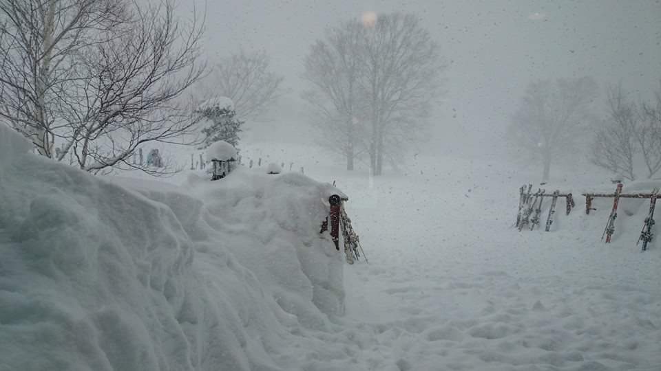 もっと、雪を！