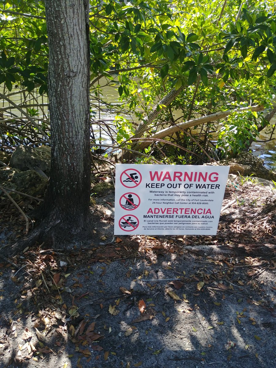 JustABuehler's tweet photo. @ABC it is not clear that there is any solution, they plug one hole and another burst down the line. We are talking about millions of gallons of raw untreated sewage constantly following into the cities waterways in multiple locations. Truly catastrophic. https://t.co/cqpmWaffJH
