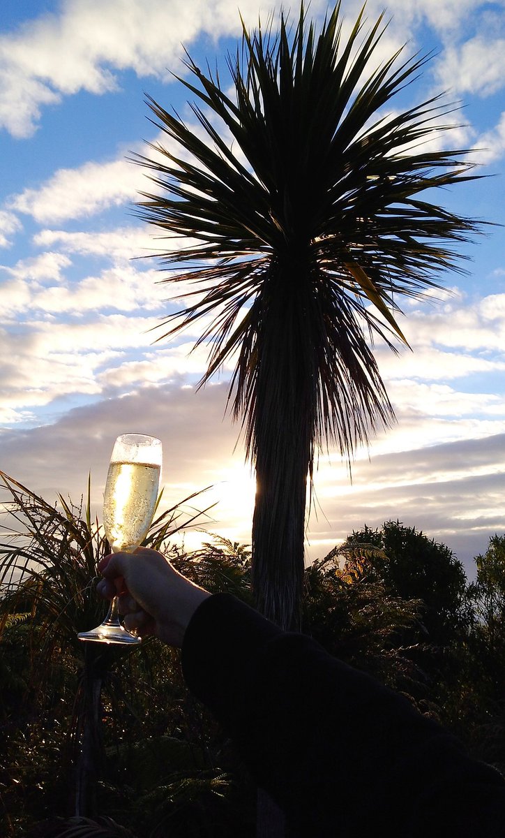 Travel Bugs World ✈️🐞🌎 tweet media