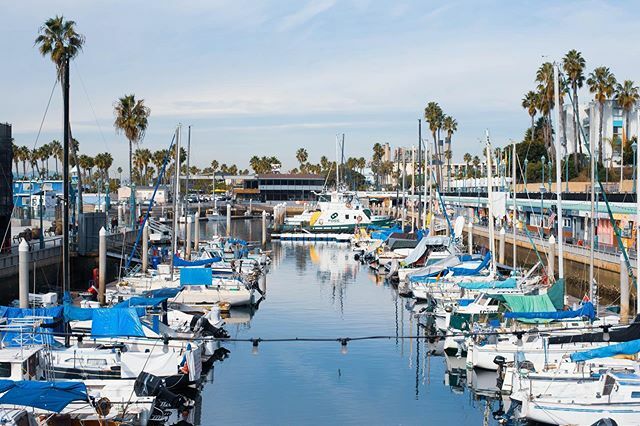 QualitySeafood's tweet photo. Our favorite view is the one here from Quality Seafood!
-
Drop your fave seafood emoji in the comments if you agree!!🦞🍤🦀🐟🍟 https://t.co/xUy58EY0c2 https://t.co/U1prulK9Rs