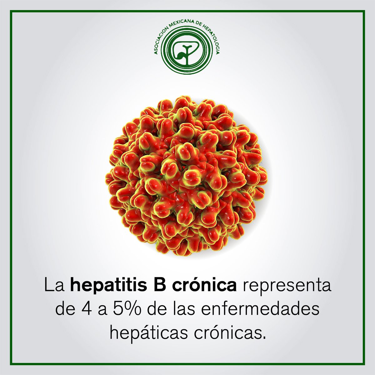 amhmx's tweet photo. #AMH #AMHcontigo #Hepatología https://t.co/hVdP4Q0Wz6
