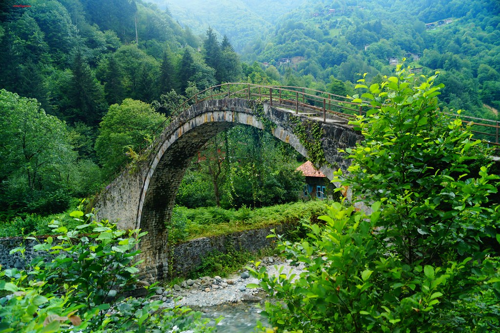 alihfo's tweet image. Dostlar bu doğa harikası köy benim köyüm.

Çocukluğumuz bu derelerde geçti. Aramızda o kadar güçlü bir bağ var ki yeri geldi canımızı aldı yine küsmedik.Hep koruduk. Çünkü o varsa biz varız.

Neden mi paylaşıyorum.Kıskandırmak için değil. Burası hepimizin

BURAYI YOK EDİYORLAR ++