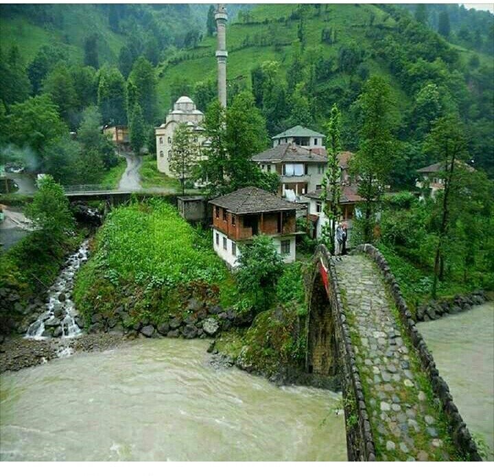 alihfo's tweet image. Dostlar bu doğa harikası köy benim köyüm.

Çocukluğumuz bu derelerde geçti. Aramızda o kadar güçlü bir bağ var ki yeri geldi canımızı aldı yine küsmedik.Hep koruduk. Çünkü o varsa biz varız.

Neden mi paylaşıyorum.Kıskandırmak için değil. Burası hepimizin

BURAYI YOK EDİYORLAR ++