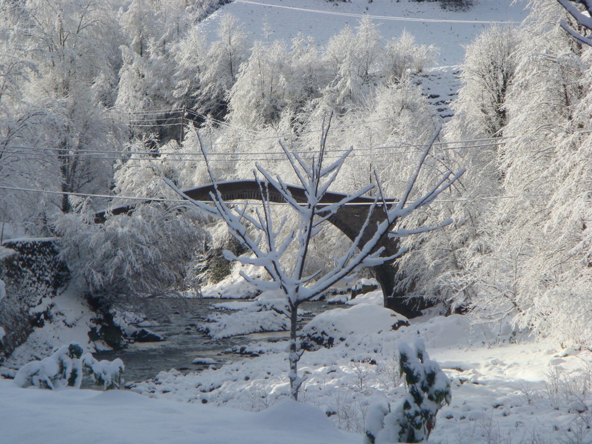 alihfo's tweet image. Dostlar bu doğa harikası köy benim köyüm.

Çocukluğumuz bu derelerde geçti. Aramızda o kadar güçlü bir bağ var ki yeri geldi canımızı aldı yine küsmedik.Hep koruduk. Çünkü o varsa biz varız.

Neden mi paylaşıyorum.Kıskandırmak için değil. Burası hepimizin

BURAYI YOK EDİYORLAR ++