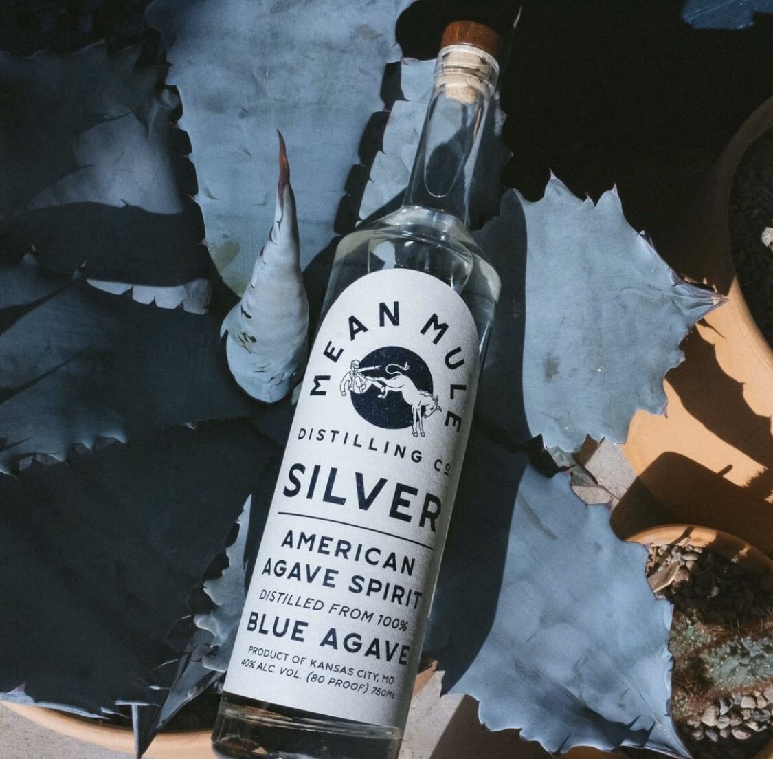 It’s a good evening for some <a href="/MeanMuleAgave/">Mean Mule Distilling Co</a> Spirits. Just like last evening, and tomorrow evening. Any evening.  

More rolling out on trucks tomorrow, grab a bottle and make your own Mean Mule evening.