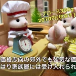 シルバニアファミリーに教わる⁉いきなりステーキ転落秘話‼