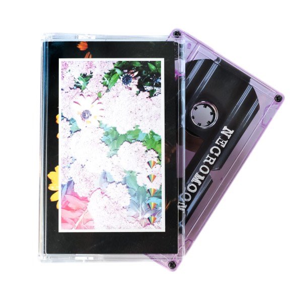 Midwest Action! tweet media