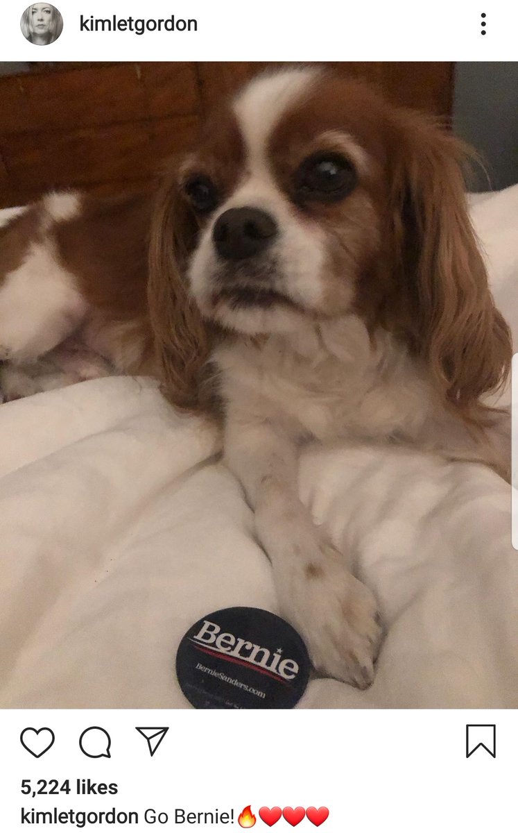 Artists big and small should be using their platforms to support  @BernieSanders for president!The winner of the primaries will be decided in the next 5 months. Let& #39;s make sure we send someone good up against Trump!