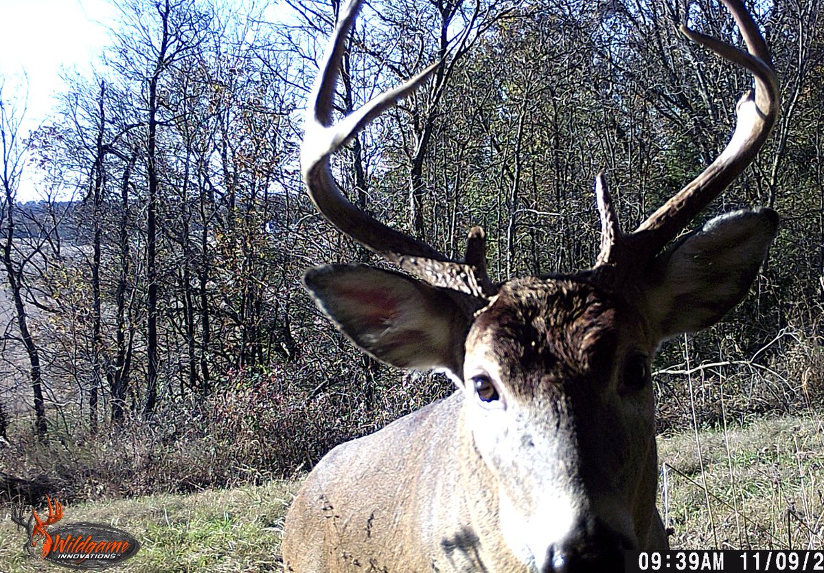 Wildgame Innovations tweet media