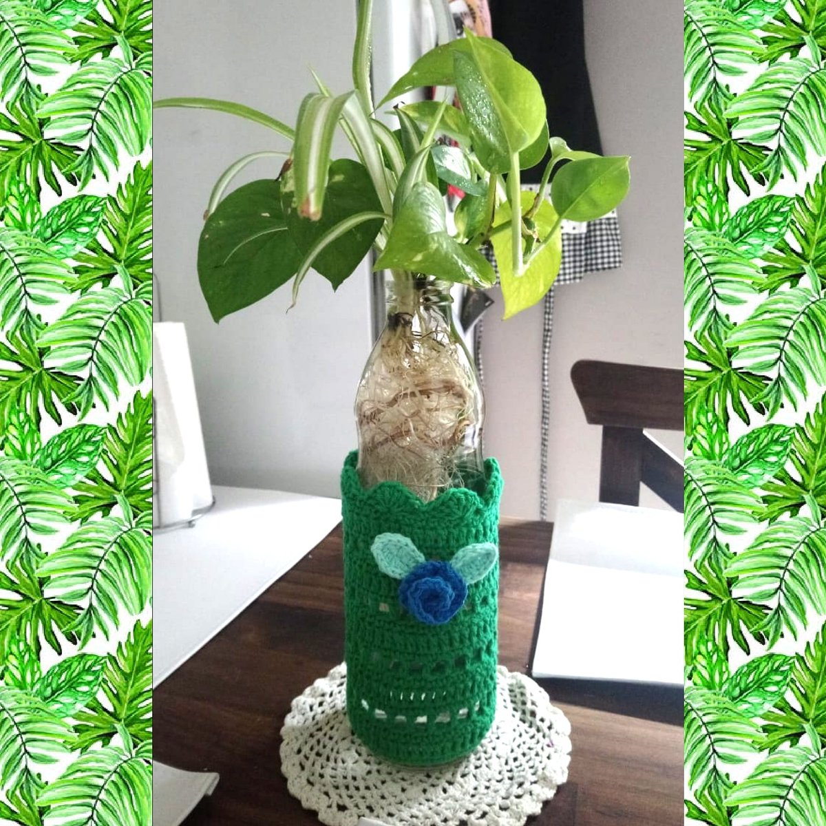 pipimargaritas's tweet photo. Me mandan fotito 📸 y miren 👀 que otra utilidad le dieron a las #Botellitas...
FLORERO 💐😍 https://t.co/vXE6Anhkyy