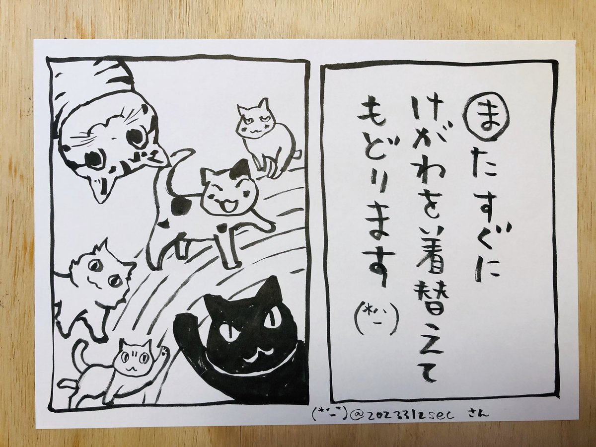Sudachi Hany ェ 白黒の 白い部分は 撫でさせぬ 実家の白黒猫 チボリは 抱っこがキライ 床でゴローンと寝転がってる時にナデナデさせてもらうのだが 白毛の部分を触ると激しく怒る 和毛にモフっと顔を埋めるという野望はとうとう叶いませんでした Sudachi Hany ェ 白黒の 白い部分は 撫でさせぬ 実家の白黒猫 チボリは 抱っこがキライ 床でゴローンと寝転がってる時にナデナデさせてもらうのだが 白毛の部分を触ると激しく怒る 和毛にモフっと顔を埋めるという野望はとうとう叶いませんでした