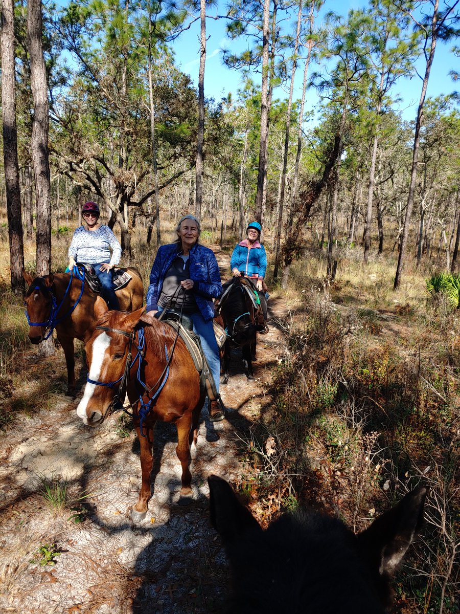 cypresshorse's tweet photo. Beautiful day with awesome peeps. https://t.co/tm9jBl3JeD