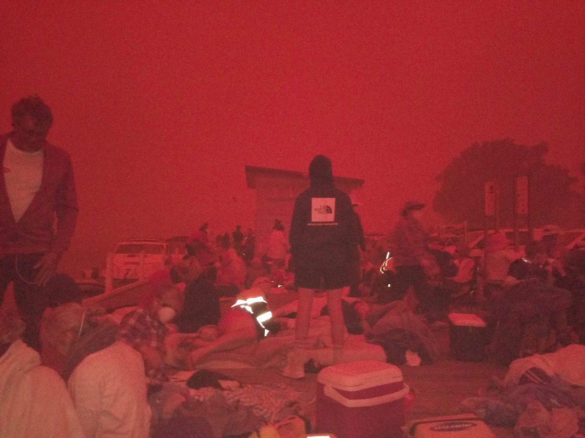 ConnorGoudie's tweet photo. The bushfire season so far #AustraliaBurning

19 people killed nationwide, 28 missing in Victoria alone
Half a billion animals killed
15 million acres burned
1600+ homes destroyed
Entire communities cut off from electricity, supplies and evacuation
Cities are choking

Links below https://t.co/rT68ivxdLS