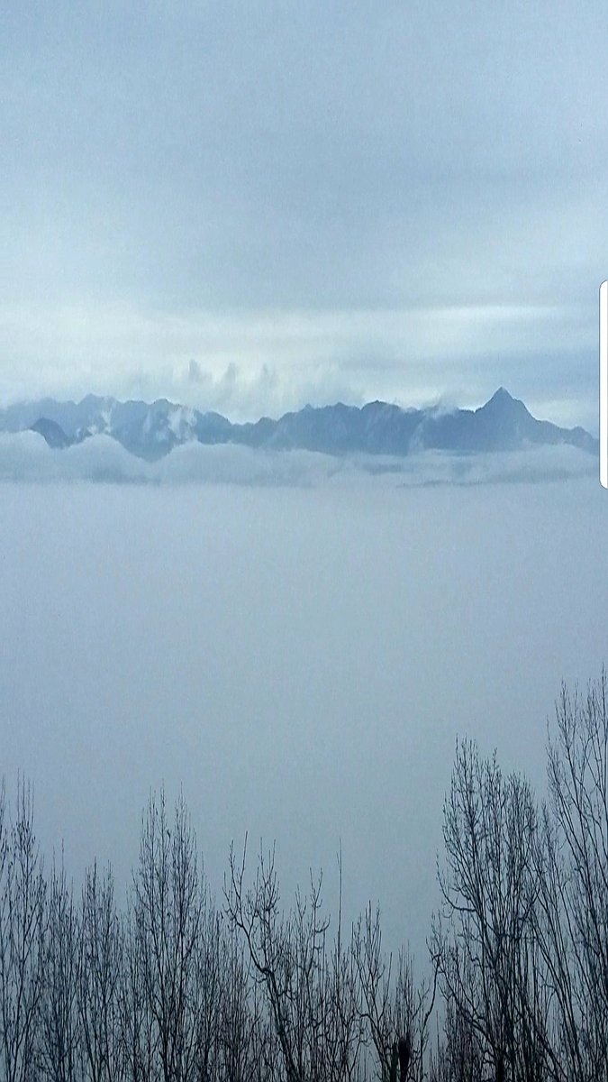 MsDavenpo's tweet photo. It may have been a day of drizzle in #NorthCarolina but WOW the views at #JumpOffRock were still breathtaking! 😍 #nocrowds  #awalkintheclouds #blueridgemountains https://t.co/Np970XW5Ym