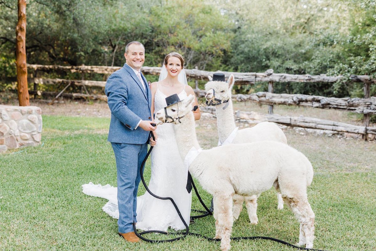Twistedranchwed's tweet photo. To celebrate 2020 we are having a sale on all our packages.  $500 off through January 11th! https://t.co/bWg45Q3bQi