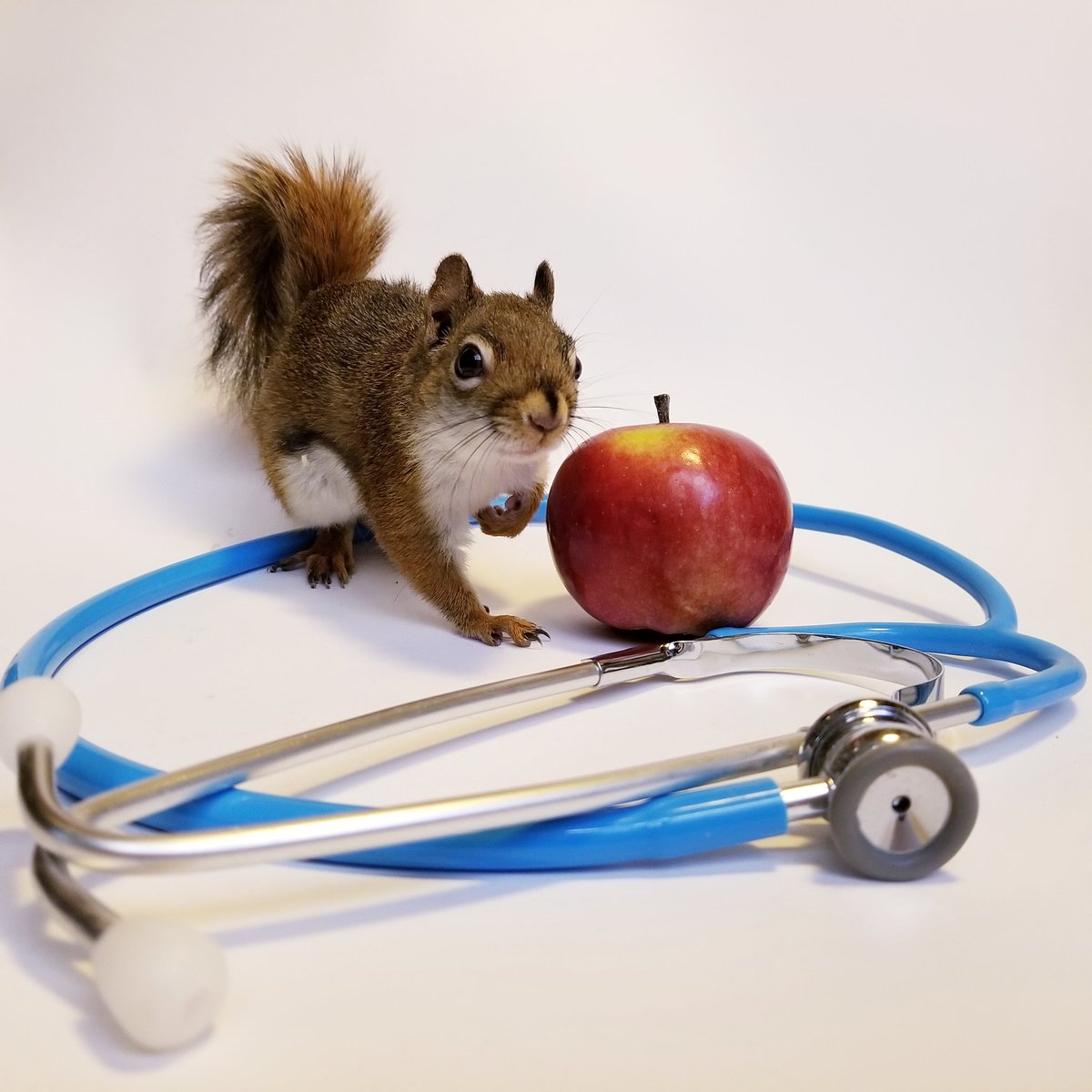 New Year's Resolution... An apple a day...
#RockyFix