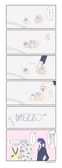 めっぞはチューチューチュ〜〜仲良し🐹💙💜 