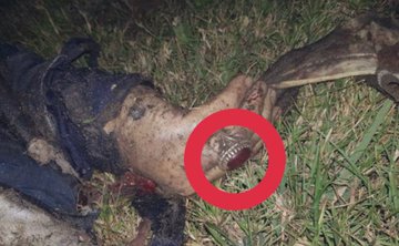 Προβολή εικόνας στο Twitter