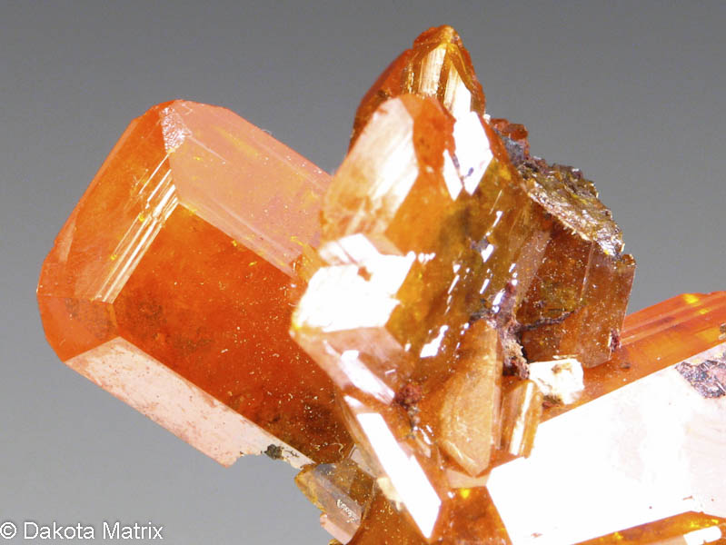 A selection of Thumbnail specimens on Dakota Matrix dakotamatrix.com #minerals #mineralcollection