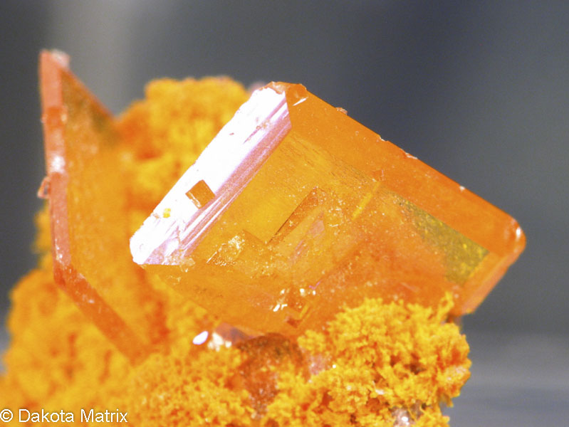 Minshows's tweet photo. A selection of Thumbnail specimens on Dakota Matrix https://t.co/GxZjenWoWZ #minerals #mineralcollection https://t.co/AGYgEsfTPp