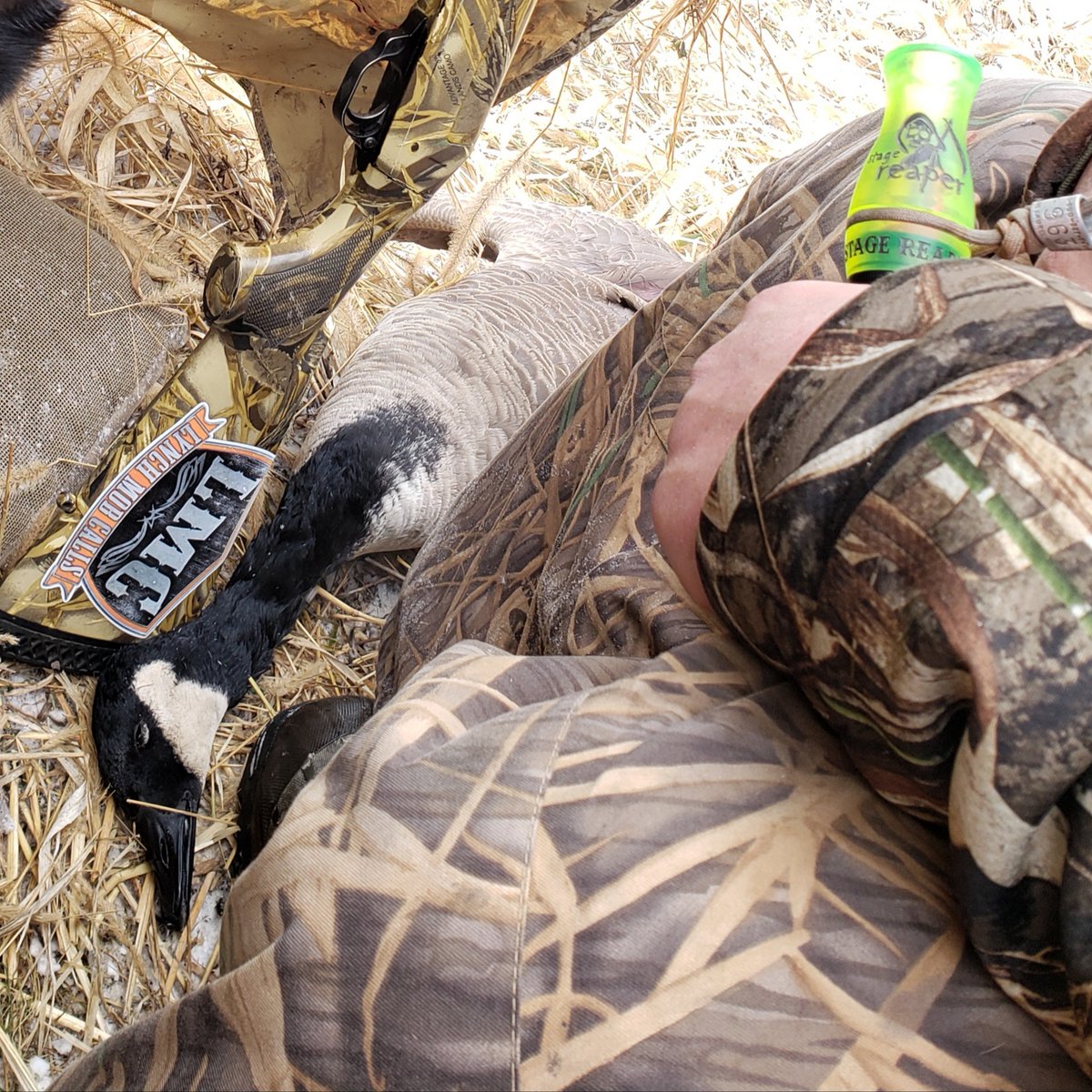 CallYourOwnGame's tweet photo. If the Stage Reaper isn't a part of your call lineup, it should be. Shop the color options at https://t.co/lvia9fpXMn.
πΈJJ Rick
#LMC #lynchmobcalls #waterfowl #goosehunting #goose #duckhunting #duckstuff https://t.co/C8UH34aEJ2