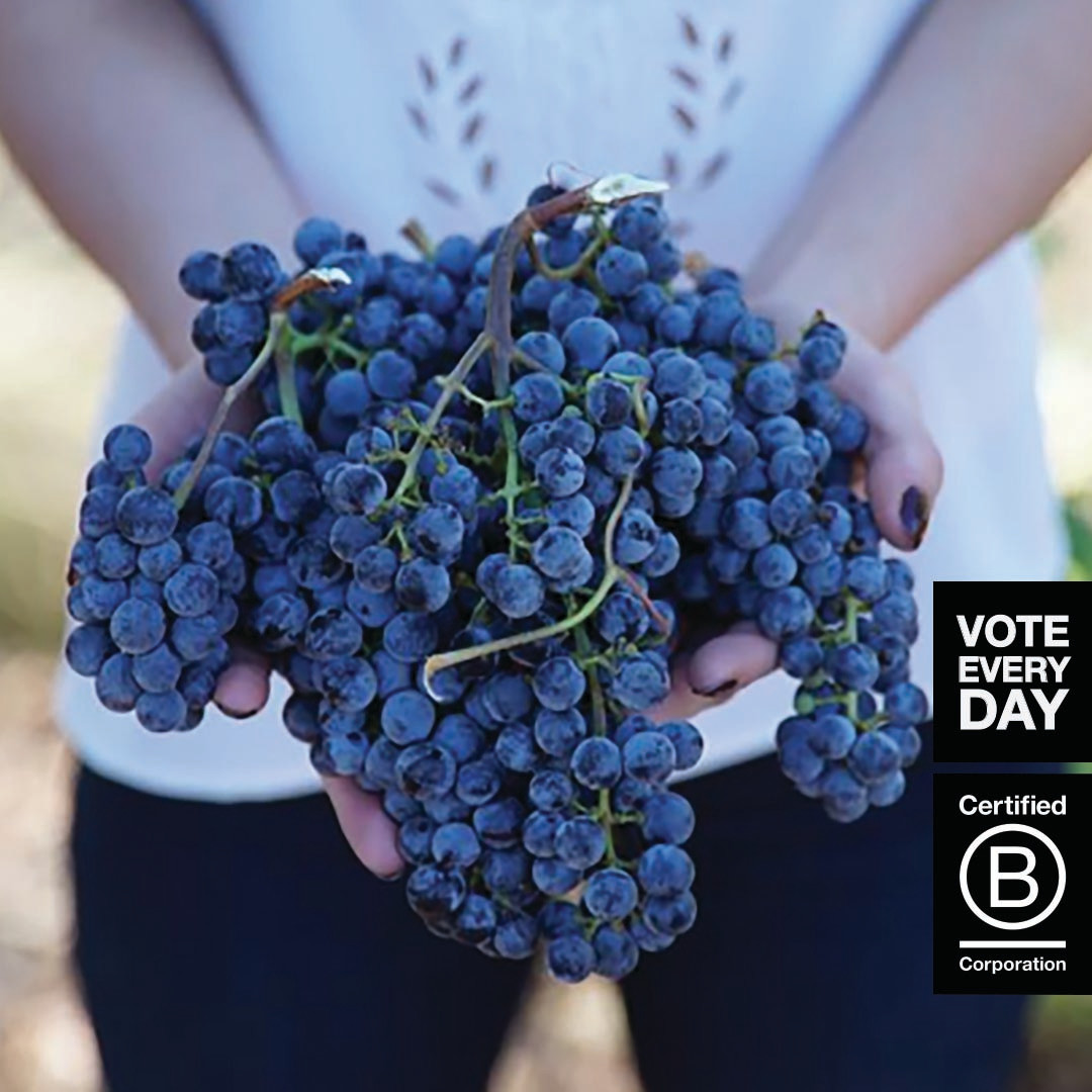 BCorporation's tweet image. Get the best news in business, once a week, free in your inbox. Learn how where you work can be a powerful force for good: #BCorps bit.ly/2E2y22l