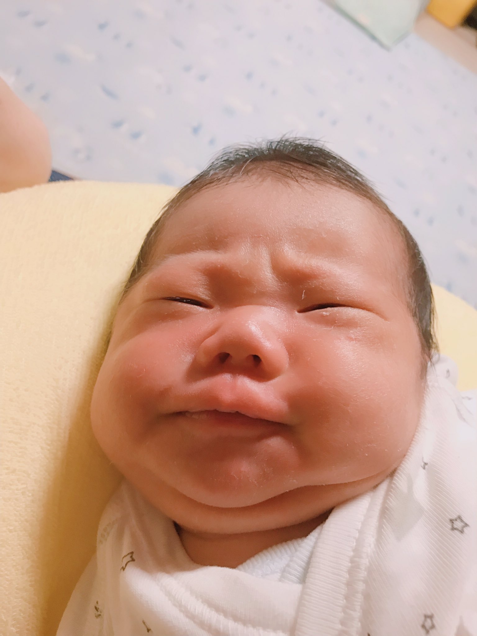 教育 神聖 韻 赤ちゃん ぶさ かわ 固有の 近所の 心から