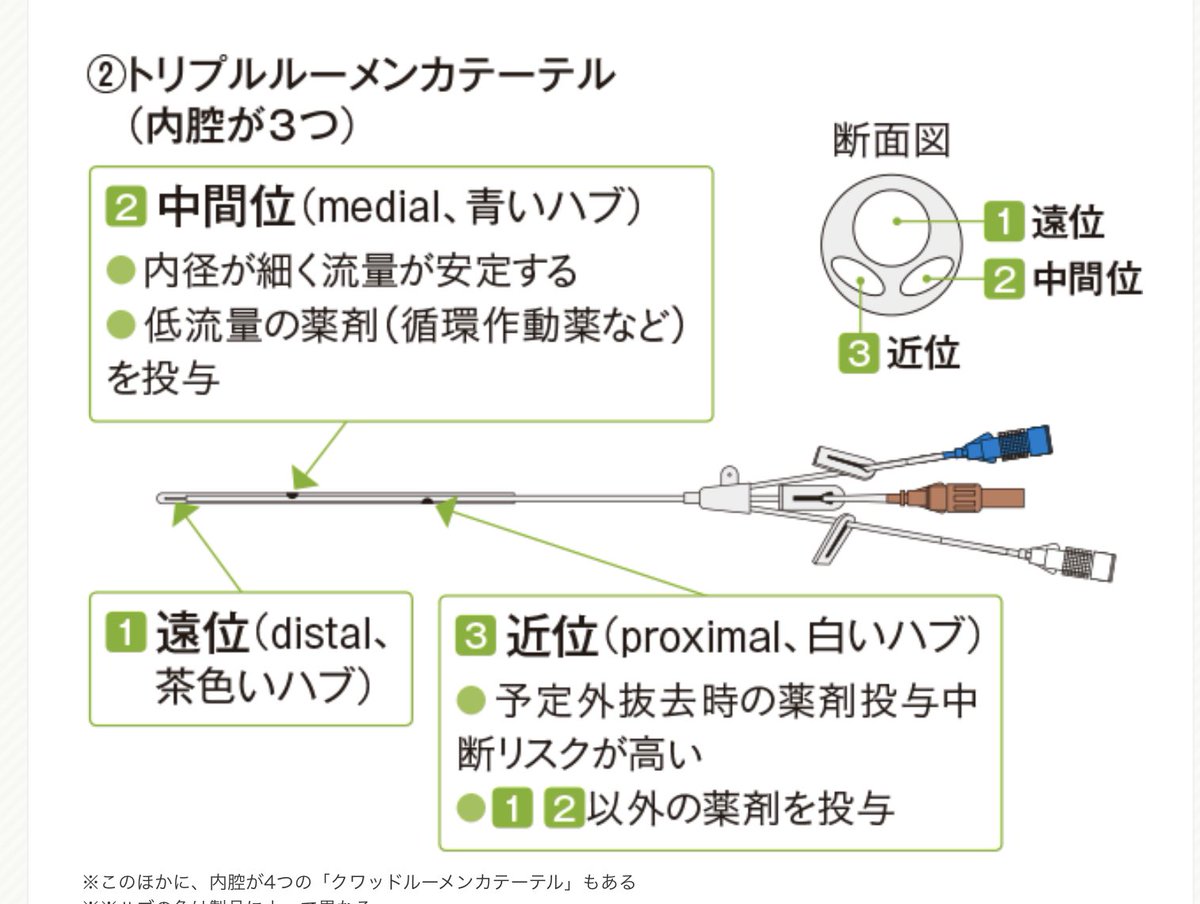 まなみん この前 血培ボトルの嫌気 好気のことがツイートされてたけど Cvラインも色で覚えてる人多いよねー 構造と原理 呼び方 Distal Proximal で覚えておくと良いよ それぞれのルートに印字されてるしね 長期に留置されてると消えてることも まなみん この前 血培ボトルの嫌気 好気のことがツイートされてたけど Cvラインも色で覚えてる人多いよねー 構造と原理 呼び方 Distal Proximal で覚えておくと良いよ それぞれのルートに印字されてるしね 長期に留置されてると消えてることも