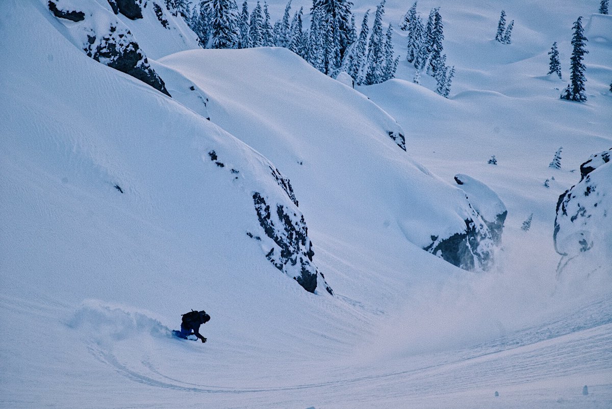 snowledge_co's tweet photo. John Lauer drops into some tasty good in the #tahoe backcountry! PC: @rileybathurst
Tracked on #snowledge #snowledgeispowder
.
.
.
#splitboard #backcountry #laketahoe #getoutside #explore #winter #whitechristmas #snow #pow #powder #snowboard #snowboarding #slash https://t.co/N4lQ3cLQm4