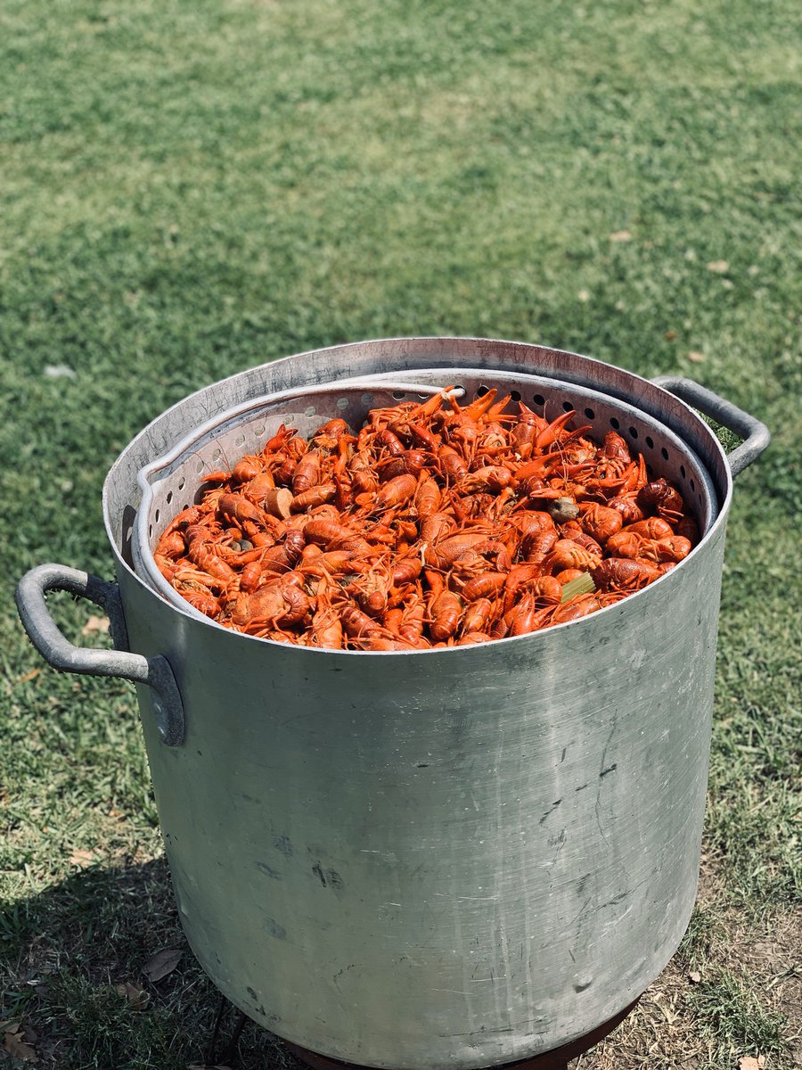 MrGoodlyCooks's tweet photo. Raise your hand if you’re ready for crawfish season to return! 🙋🏽‍♂️ https://t.co/TxLLwuEXp6